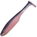 ���������� So-Run Superu Shad 10�� 9.5�� SSRSS04-LT