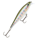  Rapala BX MINNOW BXM10-RT