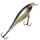  Rapala Shallow Shad Rap SSR09-ALB