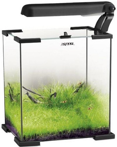 ����������� ����� ��� �������� AQUAEL SHRIMP SET SMARTPLANT 10 ������