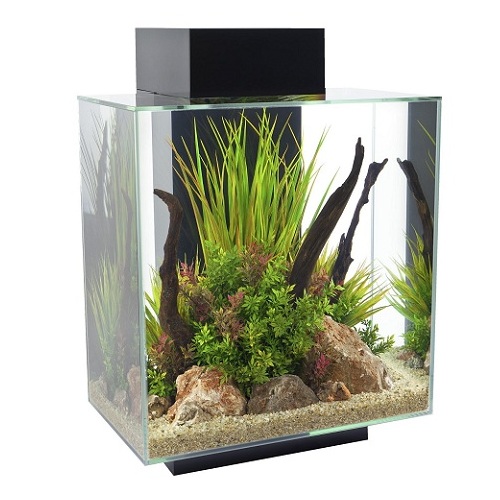  Hagen Fluval Edge 46 LED 