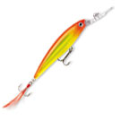  Rapala X-Rap Deep XRD10-HH