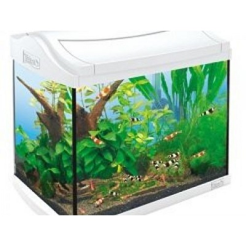 �������� ��� �������� Tetra AquaArt SHRIMPs Discover Line 20�