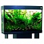 �������� Anubias A-1000+ 235� ������