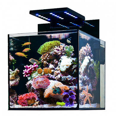 �������� ����������� AQUA MEDIC Cubicus 140