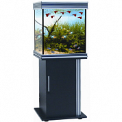 ����� Anubias B-650MX ��� ��������� B-650M ������