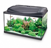 �������� Aquael AQUA4HOME 50  45�