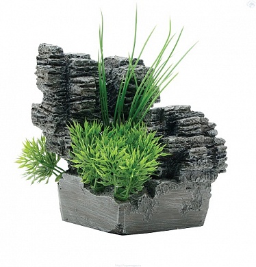 ���������  �������  ����  ���  ���������  Fluval  Chi