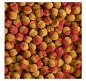 ���� ��� ��� TetraCichlid Colour 10� �������