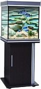 �������� Anubias B-650M 240� T5 ���