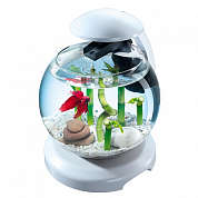 �������� Tetra Cascade Globe White LED
