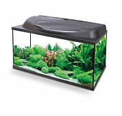 �������� Aquael AQUA4HOME 60 54�