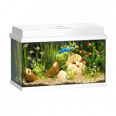 �������� JUWEL ������ 600 ����� 63�