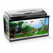�������� Aquael CLASSIC ��� 80 112�