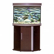 �������� Anubias B-1000S 160� T5 ���