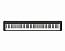 CASIO CDP-S150