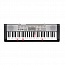 ���������� Casio LK-130