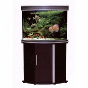 ����� Anubias B-850JX ��� ���. B-850J ������