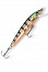 ������ Rapala Husky Jerk HJ08-GP