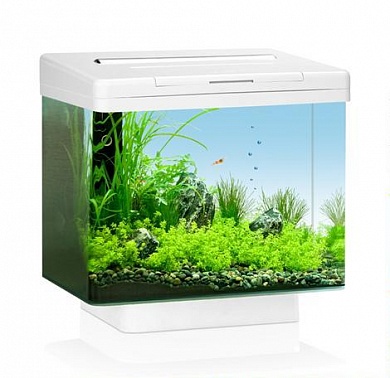 �������� JUWEL ��� 40 LED �����