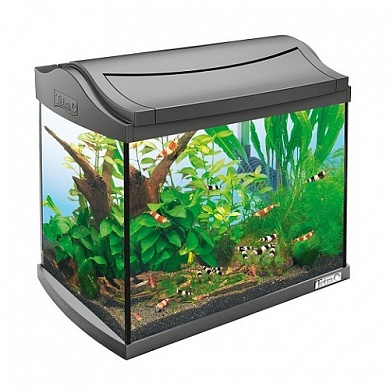 �������� Tetra AquaArt Discover Line 20�