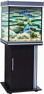 �������� Anubias B-650M, 240� T5 ������