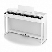   Kawai CN25W