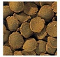 TetraPleco Wafer 100�� ��������