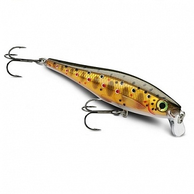 ������ Rapala BX Minnow BXM10-TR