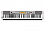 �������� ������� Casio CDP-230RSR