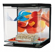  Hagen Marina Betta Kit Sun Swirl 2