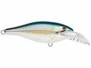  Rapala Scatter Rap Shad Deep DSCRS07-ALB