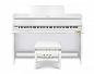 �������� ������� Casio GP-310WE