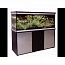 �������� Anubias D-1000F 245� T5 ����������-������