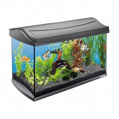 �������� Tetra AquaArt Discover Line 60�