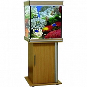 �������� Anubias B-600M 205� T5 ���