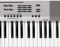 �������� ������� Casio CDP-230RSR
