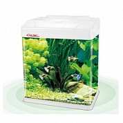�������� Xilong 100� ����� LED