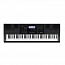 ���������� Casio WK-6600