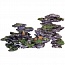 �������� "ROCKERY" L395 x W314 xH235��