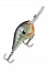 ������ Rapala Dives-To DT16-BG