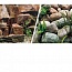 ��� ����� � ����������/����� � ���������� 45�� (7.5�)