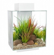 �������� Hagen Fluval Edge 46� LED �����