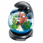 �������� Tetra Cascade Globe Black LED