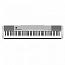 Casio CDP-135SR	