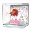 �������� Hagen Marina Betta Kit Floral 2�