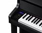 �������� ������� Casio GP-310BK