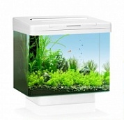 �������� JUWEL ��� 40 LED �����